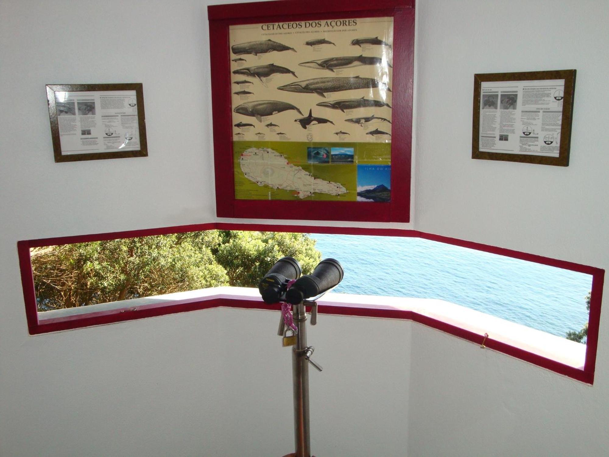 Aldeia Da Fonte Hotel Lajes do Pico Extérieur photo